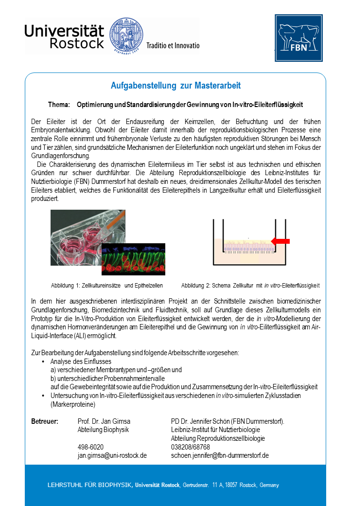Ausschreibung MSc Optimierung und Standardisierung der Gewinnung von In-vitro-Eileiterflüssigkeit